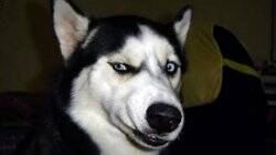 StatsTestEvent - Event in San Francisco