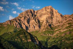 Optional Checkout fields