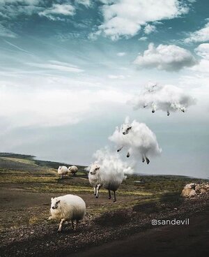 Pani First Event։ 11-7 - Event in Dallas